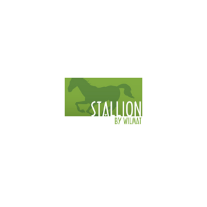 stallion