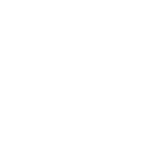 unionpaywhite