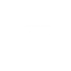unionpaywhite