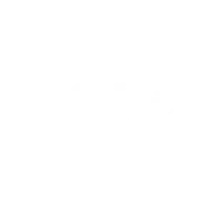 visa white